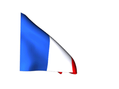 France_240-animated-flag-gifs
